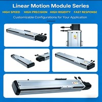 Módulo de guía lineal semicerrado con husillo de bolas, etapa lineal de doble riel para equipos de automatización, máquinas de embalaje e impresión
