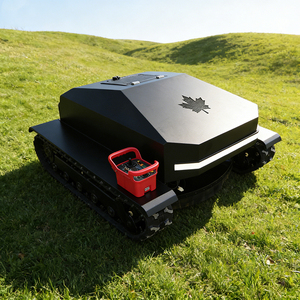 送料無料 野草刈機 ユーロ5 EPA 自動 ミニリモコン芝刈り機 販売中 - Product Image 3