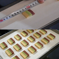 Ligne de production de biscuits multifonction LONGYU SV-208A, machine à découper et à former les biscuits pour boulangerie commerciale