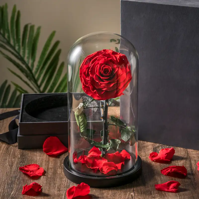 wholesale real eternal rose in Led Light Glass Dome high quality preserved Rose Perfect Birthday Valentines Day Gifts