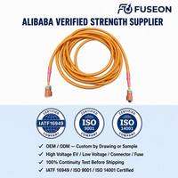 Harness Kabel Tegangan Tinggi 600V XLPE Tahan Air untuk Manajemen Termal Kendaraan Energi Baru Pabrik OEM/ODM