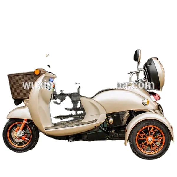 Dreirad-Elektro-Motorrad Erwachsenen-Dreirad gebrauchtes Erwachsenen-Dreirad Verkauf Erwachsenen-Dreirad Zwei-Sitzer 60V 500W 3-Rad-E-Auto