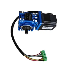 Dc Borstelloze Motor Micro Worm Versnellingsbak Snelheidsreductiewiel Motor 12V Micro Motor Met Hal Sensor