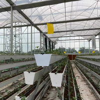 Serre agricole multi-chapelles en film plastique avec système hydroponique pour tomates, concombres et fraises