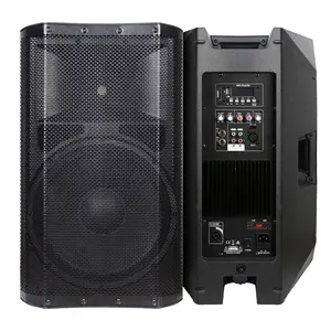 Accuracy Pro Audio CAN08AOH speakers 8 inch 100W bt dj party home subwoofer portable active power speaker box