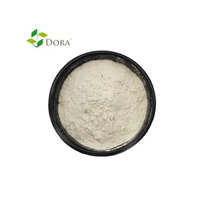 Offwhite Chitosan Powder 100% Water Soluble Agriculture Fertilizer Wholesale Price 25 kg Per Bag