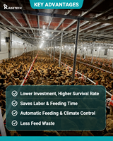 Mangeoire automatique pour poulets de chair, équipement d'élevage avicole, ligne d'alimentation en paniers avec abreuvoir à tétine pour l'élevage de poulets de chair