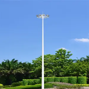 华丽的户外装饰单臂太阳能led路灯灯杆在智能城市与各种类型的灯