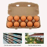 Plateaux à œufs compostables de haute qualité à 6/10/12 alvéoles, en carton biodégradable pour poulets, en pâte à papier