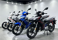 CHL Electric Anti-Skid Tires Single Cylinder Motorcycle with Easy Start System for Daily Grocery & Commute >80km/h
