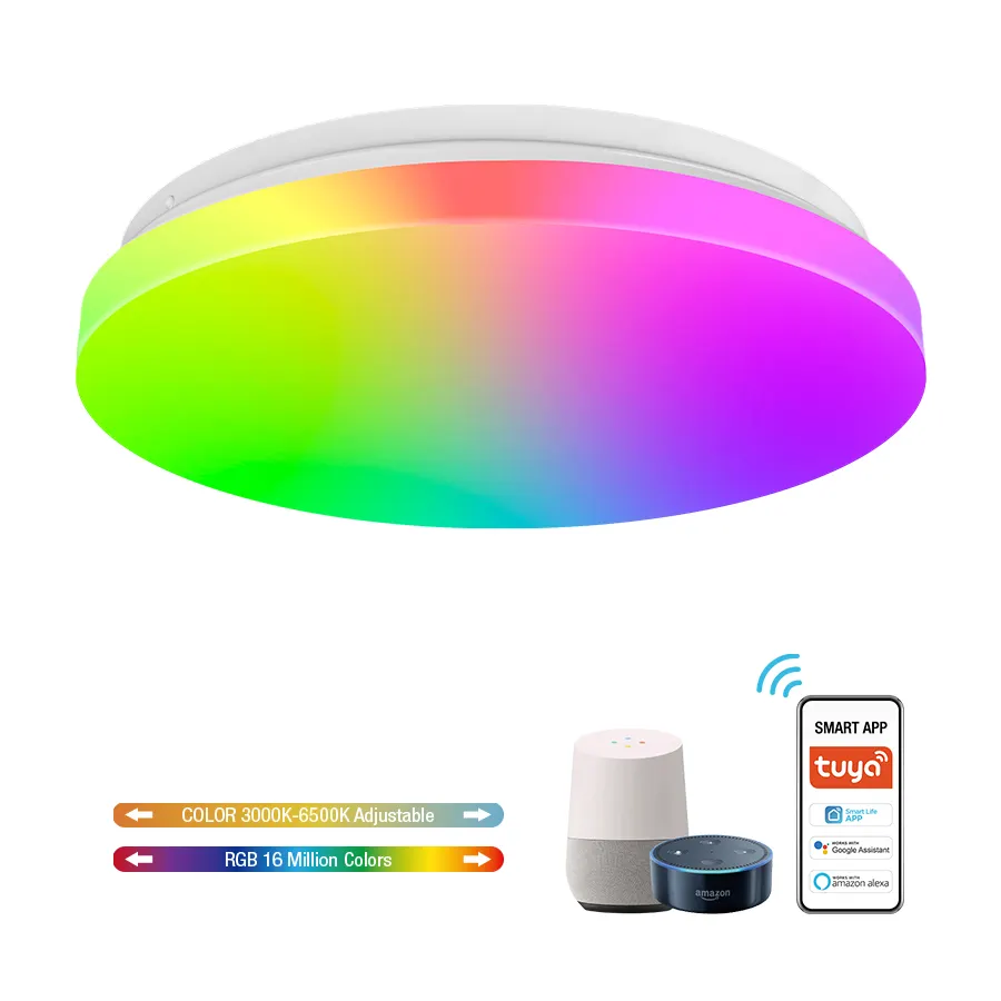 CE RoHS Smart 2.4G Wireless Frameless Round RGB Colorful Dimmable CCT Adjustable 24W Ceiling Light LED