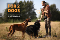 Collier de choc de contrôle Rechargeable électrique étanche Offre Spéciale pour 2 chiens à distance 1200m collier de dressage de chien professionnel