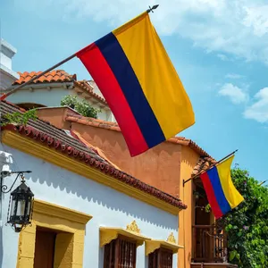 販促品卸売高品質耐久性3x5フィート100% ポリエステルbanderas de paisesカスタムコロンビア国旗