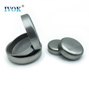 इवोक पानी प्लग फ्रीज प्लग में मोटर वाहन तेल सील के लिए मोटर वाहन तेल सील के लिए - Product Image 4