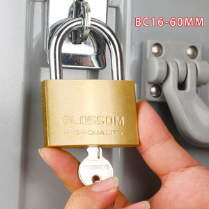 BC16 60 Mét Customized <span class=keywords><strong>Globe</strong></span> Lock Padlock Set Tủ Khóa Padlock Heavy Duty Giá Rẻ Pad Khóa Đồng Cadeado Rắn Brass Padlock - Product Image 3