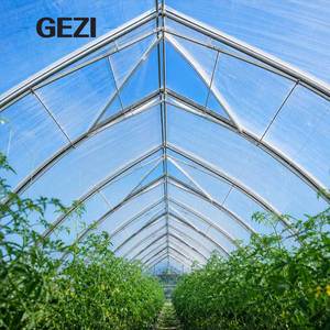 Serre tunnel commerciale <span class=keywords><strong>en</strong></span> plastique de style gothique pour la production de légumes, la culture de tomates et l'agriculture hydroponique - Product Image 2