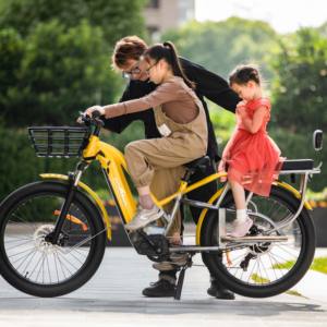 Nouveau modèle de vélo électrique de ville <span class=keywords><strong>Enduro</strong></span>, certification CE, 500W/750W, pour Cargo - Product Image 6