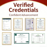 Poudre de Quercétine de Haute Pureté CAS 117-39-5 Issu d'Extrait de Sophora Japonica 95% 98% Certifié HPLC GMP Matière Première en Vrac