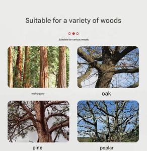 Fendeuse de <span class=keywords><strong>bois</strong></span> électrique 220V avec composants essentiels : moteur, pompe à engrenages, roulement, broyeur de <span class=keywords><strong>bois</strong></span> - Product Image 6