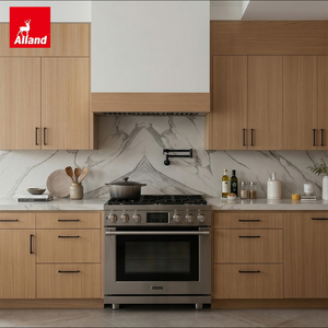 Meuble de rangement de cuisine Alland, style européen, unité de rangement pour porte pleine hauteur, sans cadre, en chêne <span class=keywords><strong>clair</strong></span> - Product Image 4