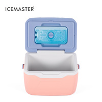 Icemaster Plezier 5.5l Fabrikant Goedkope Prijs Lekvrij Food Grade Pp Kleine Roze 5,5l Camping Koelbox Met Handvat Voor Vissen