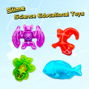 Jouet éducatif d'animaux dissectionnés, Jouets STEM, Kit de laboratoire scientifique éducatif pour la dissection de chauves-souris, Jouets de slime d'animaux simulés dissectionnés - Product Image 1