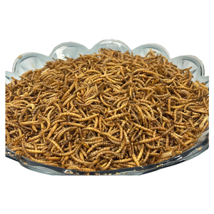 Vermi Gialli Essiccati Biologici ad Alto Contenuto Proteico Senza Cereali (<span class=keywords><strong>Tenebrio</strong></span> Molitor) per Alimenti per Pesci e Cani - Snack Naturale di Alta Qualità per Animali Domestici - Product Image 3