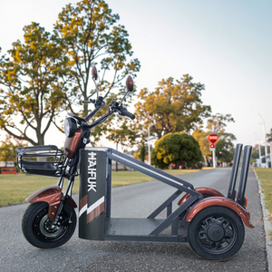 Tricycle électrique motorisé 48V 1000W pour personnes à mobilité réduite, véhicule de skateboard tout-terrain Ks-ly-09, version spéciale différenti - Product Image 5