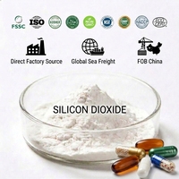Dioxyde de silicium SiO2 certifié HALAL/KOSHER, qualité alimentaire, poudre blanche en vrac, sac kraft de 10 kg pour excipients de comprimés et de capsules