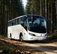 Bus électrique TENGLONG 9m, directement de l'usine, nouvelle énergie, interurbain, pour passagers, alimenté par batterie au lithium, offre OEM