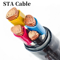 Cable Subterráneo Blindado de Baja Tensión 0.6/1kV 4x16mm²/25mm²/70mm²/95/120 con Aislamiento XLPE y Alambre de Acero Blindado SWA STA de Cobre de 4 Núcleos