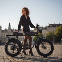 Vélo électrique urbain à deux places avec moteur arrière 1000W 48V, cadre en acier carbone 3 vitesses, haute vitesse