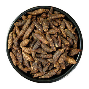 Rizoma de Cyperus Rotundus Seco Premium, Hierba Natural <span class=keywords><strong>Xiang</strong></span> <span class=keywords><strong>Fu</strong></span> de Medicina Tradicional China para la Regulación del Qi y Alivio del Dolor, Venta al por Mayor - Product Image 1