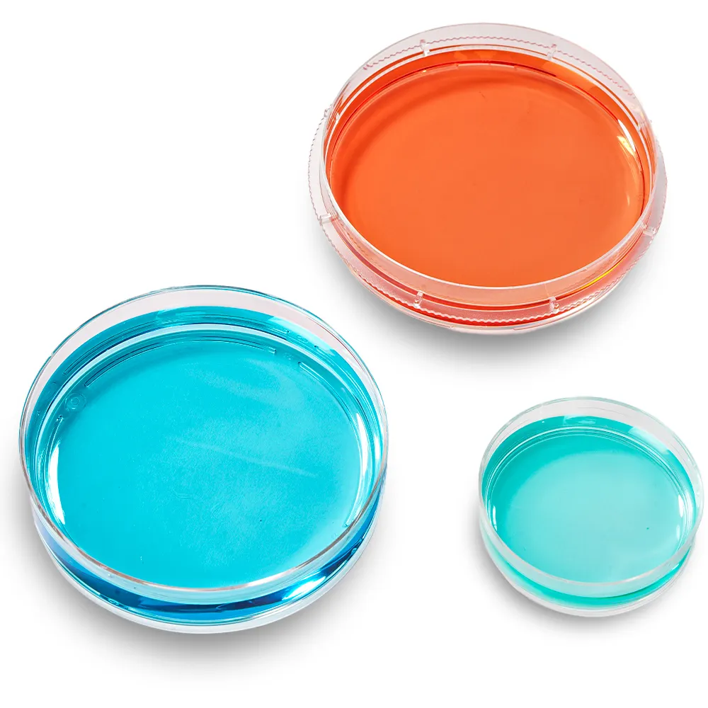 Wholesale Disposable Plastic 90*15mm Tissue Culture Plate Cell Culture Dish Sterilized 90mm Petri Dish for Lab