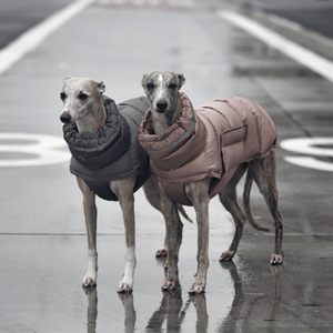 Yeni lüks kış Pet giysi su geçirmez yüksek boyun köpek aşağı ceket büyük köpek Pet yastıklı ceket - Product Image 5