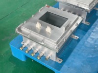 Boîtier de commande industriel Ex d pour applications pétrochimiques, marines et offshore, en acier inoxydable SS316, indice de protection IP66