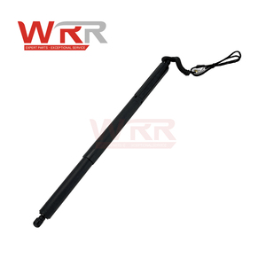 51247232003 51247204366 Amortisseur de hayon arrière fiable pour BMW F10 F18 528i 535i - Product Image 2