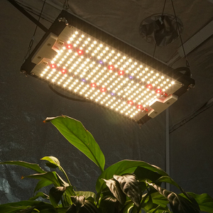 King brite-Luz LED UV para cultivo en interiores, diodos de 120W, Samsung LM301H Mix XP-E2, 660nm, 730nm, LG - Product Image 4