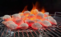Adhésif pour briquettes BSD : Adhérence forte, durée de combustion améliorée, source de vente en gros, fabrication, autre viscosité stable, CN ZHE