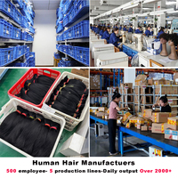 Peluca de Cabello Humano con Frente de Encaje HD 13x6 Transparente Sin Pegamento de Fábrica OEM, Cabello Humano Vietnamita Virgen Liso con Cutícula Alineada