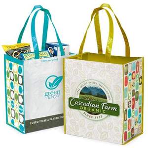 Bolsa de Compras Promocional de Polipropileno Laminado No Tejido con Asas, Impresión Flexográfica, Bolsas Personalizadas, Embalaje en Caja - Product Image 4