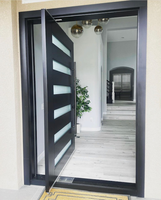 Porte d'entrée en bois noir avec inserts en verre