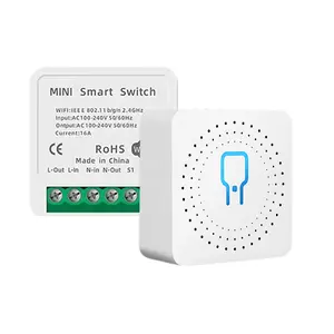 Tuya DIY Mini WIFI akıllı ışık 16A 2 yollu anahtarı akıllı ev için kontrolör devresi kesici