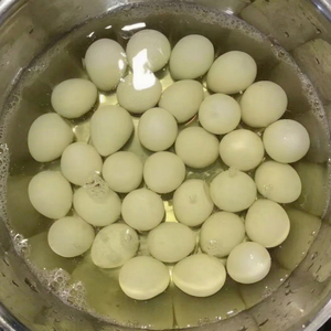 ไข่นกกระทากระป๋องขายดีที่สุด บรรจุในน้ำ ได้รับการรับรองมาตรฐาน HACCP พร้อมรับประทาน ผู้จัดจำหน่ายเวียดนาม ตัวเลือกอันดับต้นๆ ปี 2025 - Product Image 1