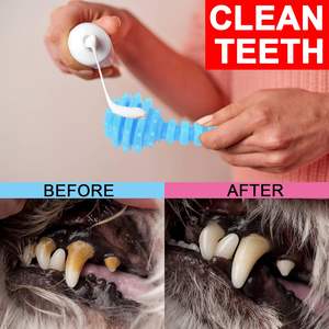 गर्म बिक्री नरम रबर खिलौना के लिए गर्म बिक्री नरम रबर खिलौना - Product Image 3