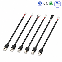 Kabel Harness USB ke JST PH XH SM Kustom, Perakitan Kabel Daya USB, Pabrik OEM ODM untuk Perangkat PCB, Baterai, LED, dan IoT