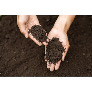 Trinova Exim, Fertilizante Orgánico Natural Puro al 99%, Agricultura Sostenible, Mejora de la Salud del Suelo, Alto Rendimiento de Cultivos 24 - Product Image 5