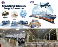 Logistikdienstleistungen DDP-Lieferung China USA Deutschland Frankreich Italien Spanien Schweden Schweiz Österreich Alle Routen See Luft Express Bahn