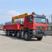 Grue sur camion SINOTRUK HOWO TX personnalisée de 12 à 16 tonnes, bras de grue, 400 CV, Euro2, charge utile de 40 tonnes, 8x4, diesel, conduite à gauche/droite