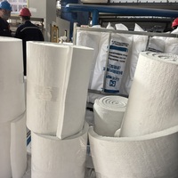 Couverture en fibre céramique économique en stock provenant d'un fabricant chinois 1360 ° Couverture isolante thermique ignifuge haute densité C